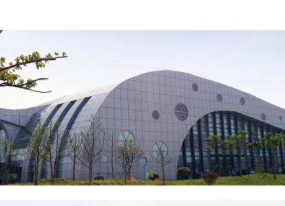 巴中会议中心外景网架工程